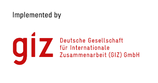 GIZ Logo